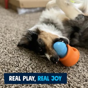 West Paw Zogoflex Toppl Tough Treat Dispensing Dog Chew Toy, Aqua Blue, Large