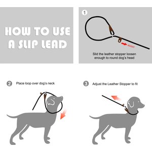 FIDA Rope Slip Training Dog Leash, 6-ft long, 1/2-in wide, Black