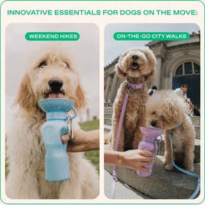 Springland Travel Dog Bottle, 22-oz, Sky Blue