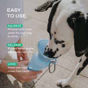 Springland Travel Dog Bottle, 22-oz, Sky Blue