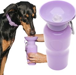 Springland Travel Dog Bottle, 22-oz, Lilac
