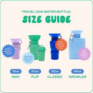 Springland Travel Dog Bottle, 22-oz, Sky Blue