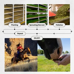 Medalist Sprout Pellets Complete Horse Feed, 50-lb bag