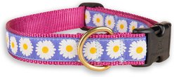 Belted Cow Company Daisies Ribbon Dog Collar, Medium: 18 to 22-in neck, 1-in wide