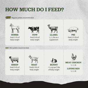 Medalist Sprout Pellets Complete Horse Feed, 50-lb bag
