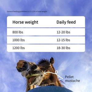 Medalist Sprout Pellets Complete Horse Feed, 50-lb bag