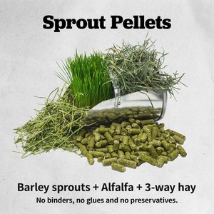 Medalist Sprout Pellets Complete Horse Feed, 50-lb bag
