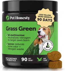 Pet Honesty Grass Green Duck Flavor Burn Spot Urine Neutralizer Soft Chews Digestive Supplement for Dogs, 90 count