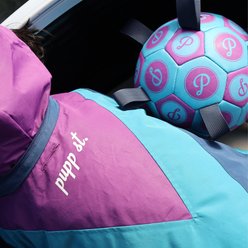 pupp st. Puppster Soccer Bouncy Ball Dog Toy, Purple/Blue, Small