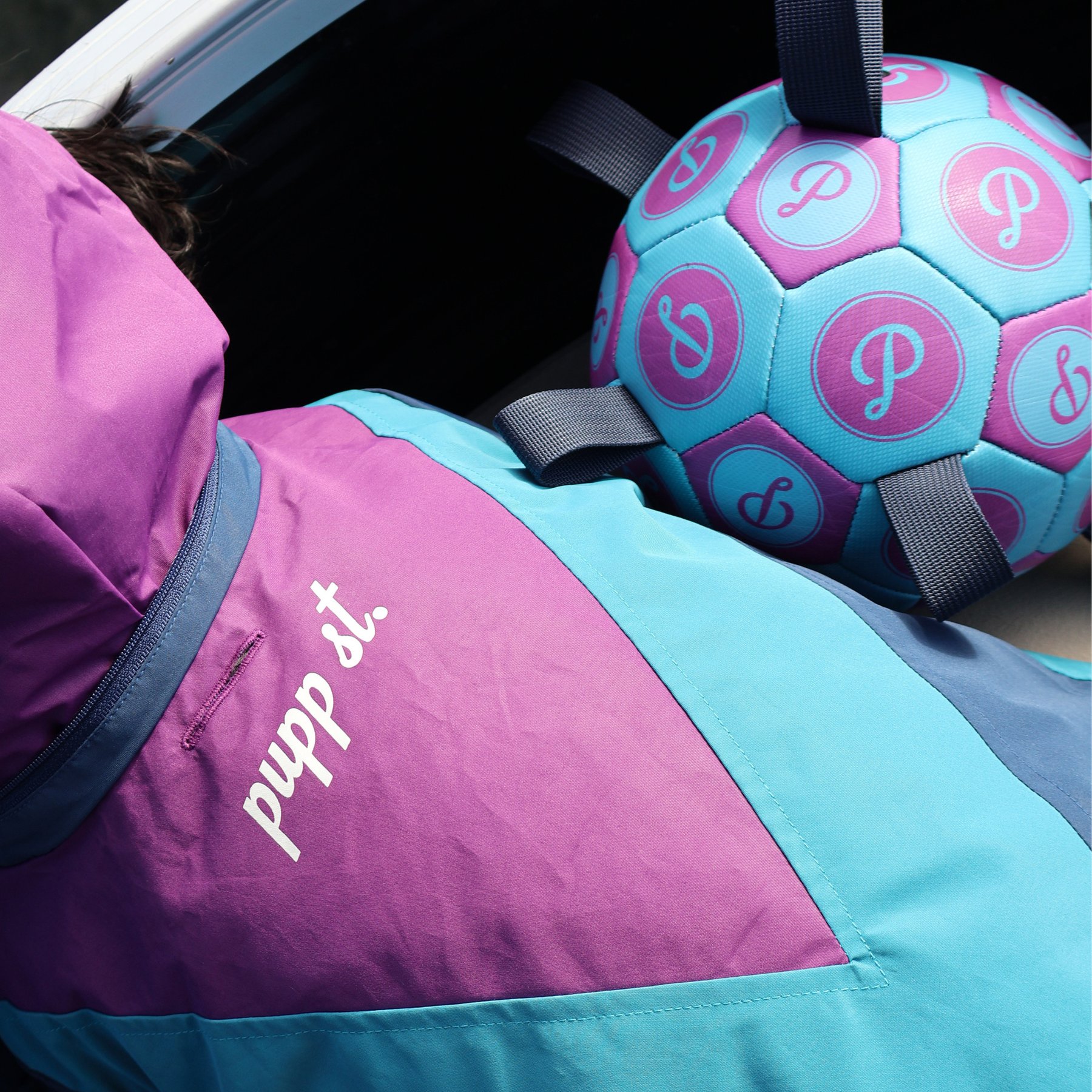 pupp st. Puppster Soccer Bouncy Ball Dog Toy, Purple/Blue, Small