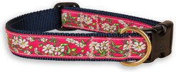 Belted Cow Company Cosmos Ribbon Dog Collar, Large: 22 to 26-in neck, 1-in wide