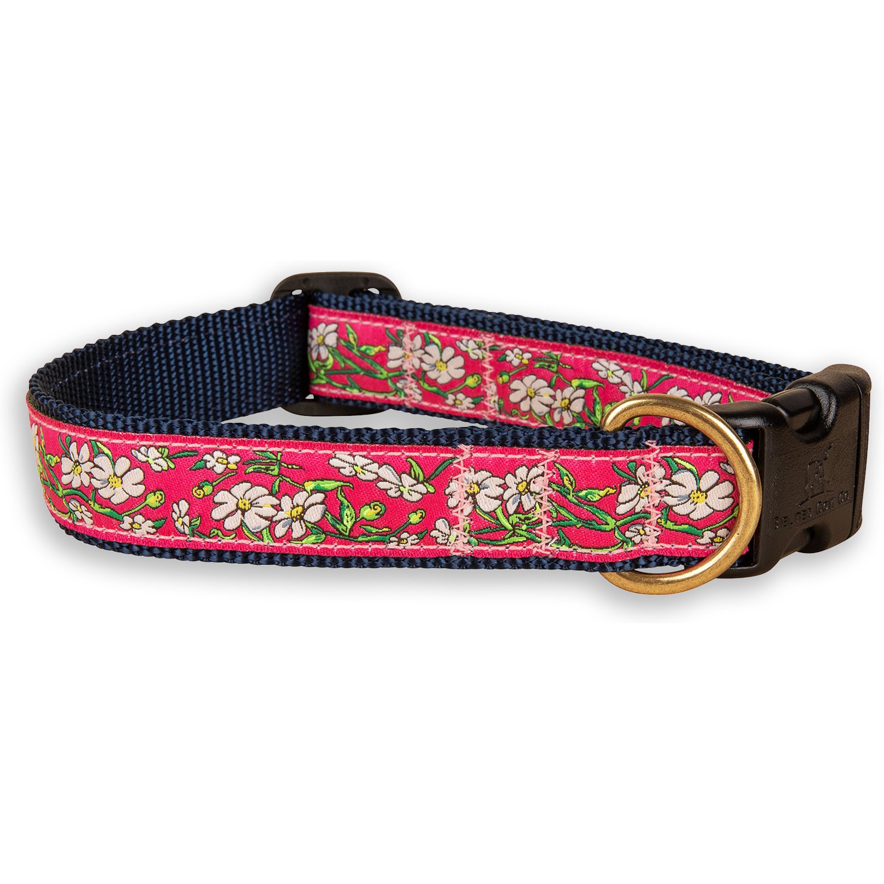 Belted Cow Company Cosmos Ribbon Dog Collar, Medium: 18 to 22-in neck, 1-in wide