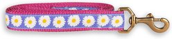 Belted Cow Company Daisies Ribbon Dog Leash, 6-ft long, 1-in wide