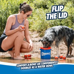 Chuckit! Bucket Fetch Ball Dog Toy with 8 Tennis Balls, Multicolor, Medium slide 2 of 5