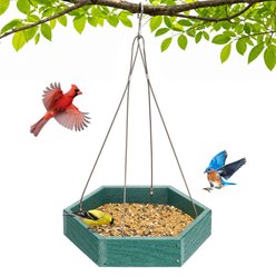 Kingsyard Recycled Poly Lumber Platform Hanging Outdoor Wild Bird Feeder, 3 lbs, Green