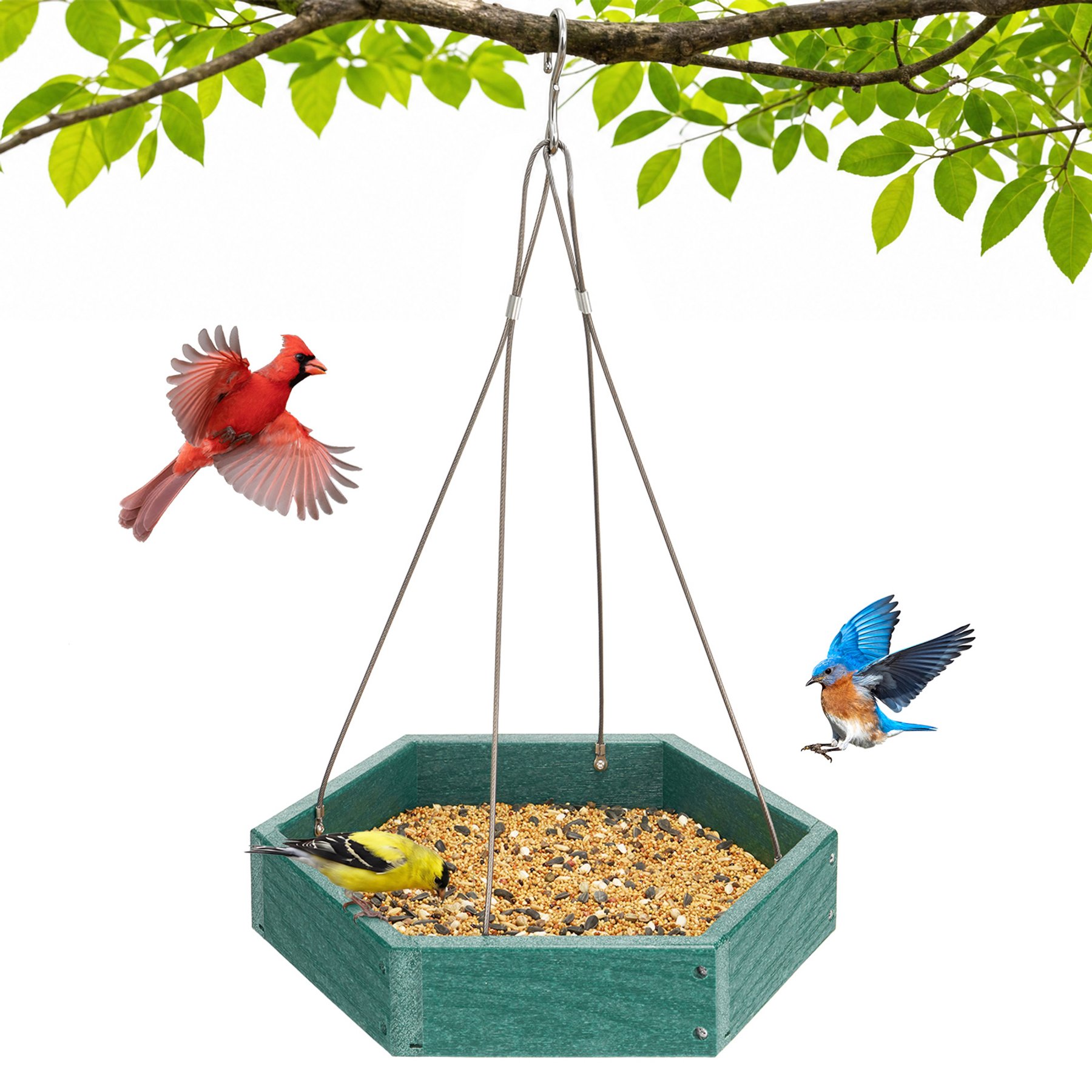 Kingsyard Recycled Poly Lumber Platform Hanging Outdoor Wild Bird Feeder, 3 lbs, Green