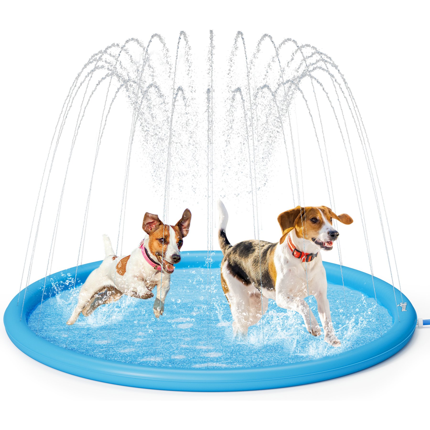 Pecute Splash Pad Dog Pool, Blue, Large