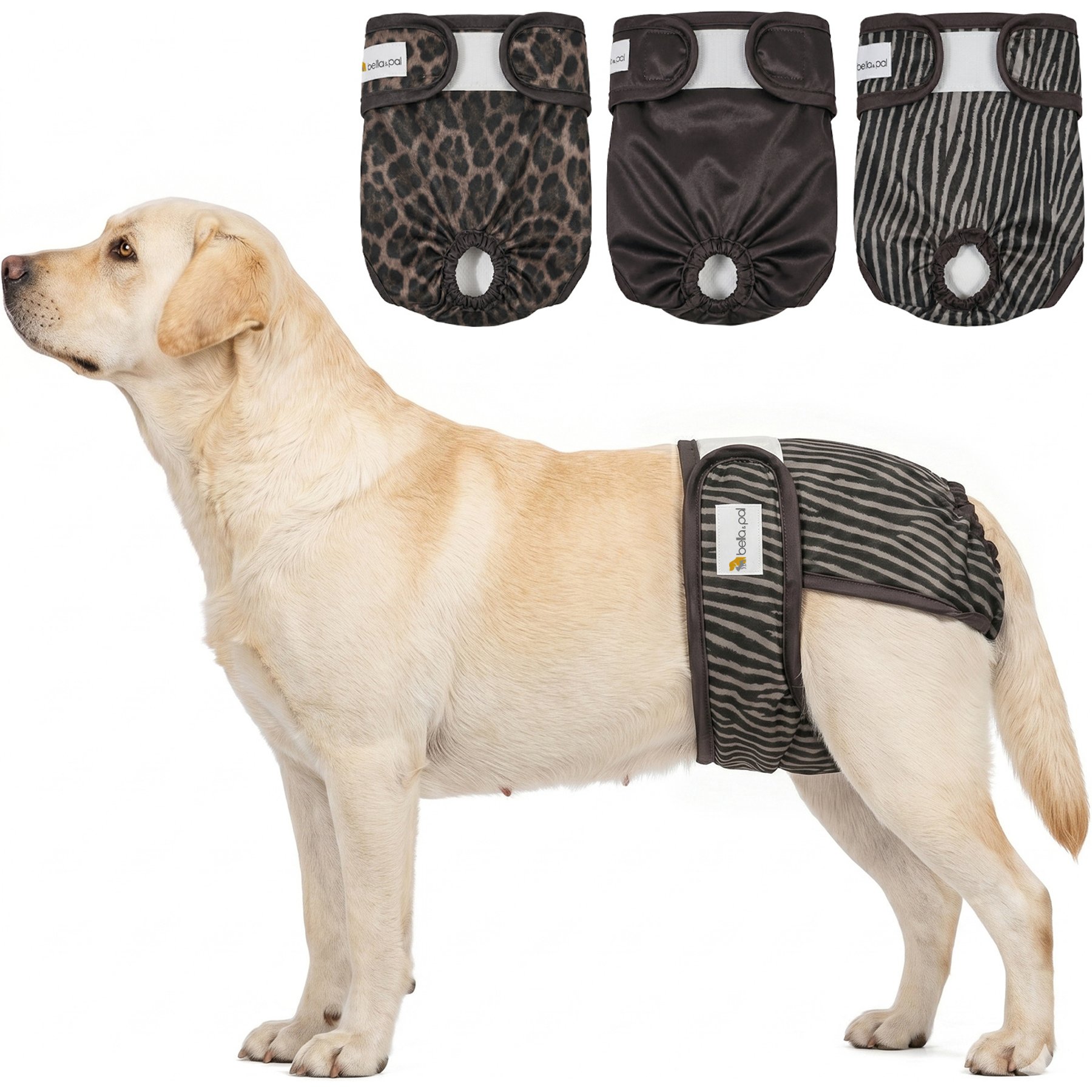 Bella & Pal Washable Belly Band Female Dog Wrap, Cocoa Leopard, 3 count, X-Large: 25 to 33-in waist