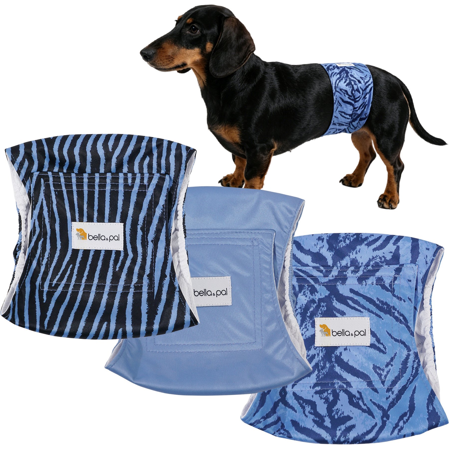 Bella & Pal Washable Belly Band Male Dog Wrap, Sapphire Zebra, 3 count, Small: 11 to 13-in waist