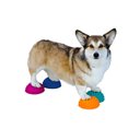 FitPAWS Dog Paw Pods, 4 count