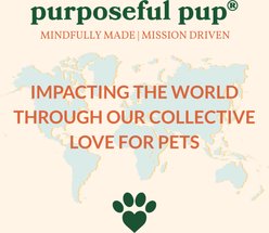 Purposeful Pup Grain-Free Lamb Bites Soft & Chewy Dog Treats, 5-oz bag slide 2 of 5