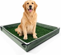 Pawtasy Grass Dog Potty Pad Holder & Litter Box, Green, 31.5 x 31.5-in