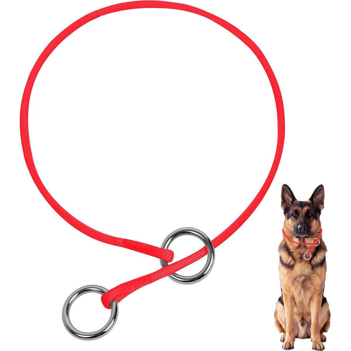 BARKBAY Competition-Style Ultra-Slim P/Q Loop No Pull Martingale Dog Collar with Stainless Steel Ring, Red, 17.5 to 19.5-in neck, 3/8-in wide