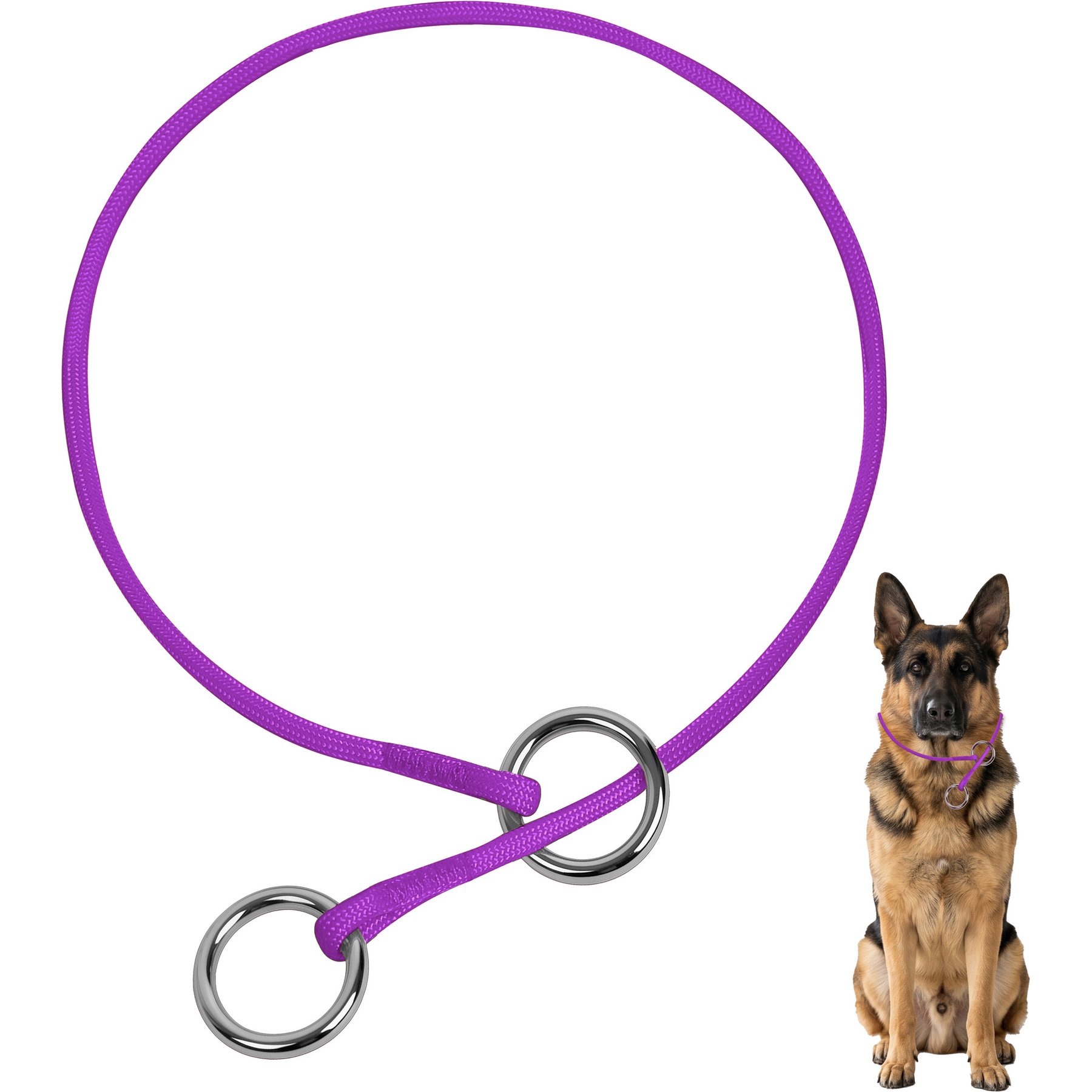 BARKBAY Competition-Style Ultra-Slim P/Q Loop No Pull Martingale Dog Collar with Stainless Steel Ring, Purple, 25.5 to 27.5-in neck, 3/8-in wide