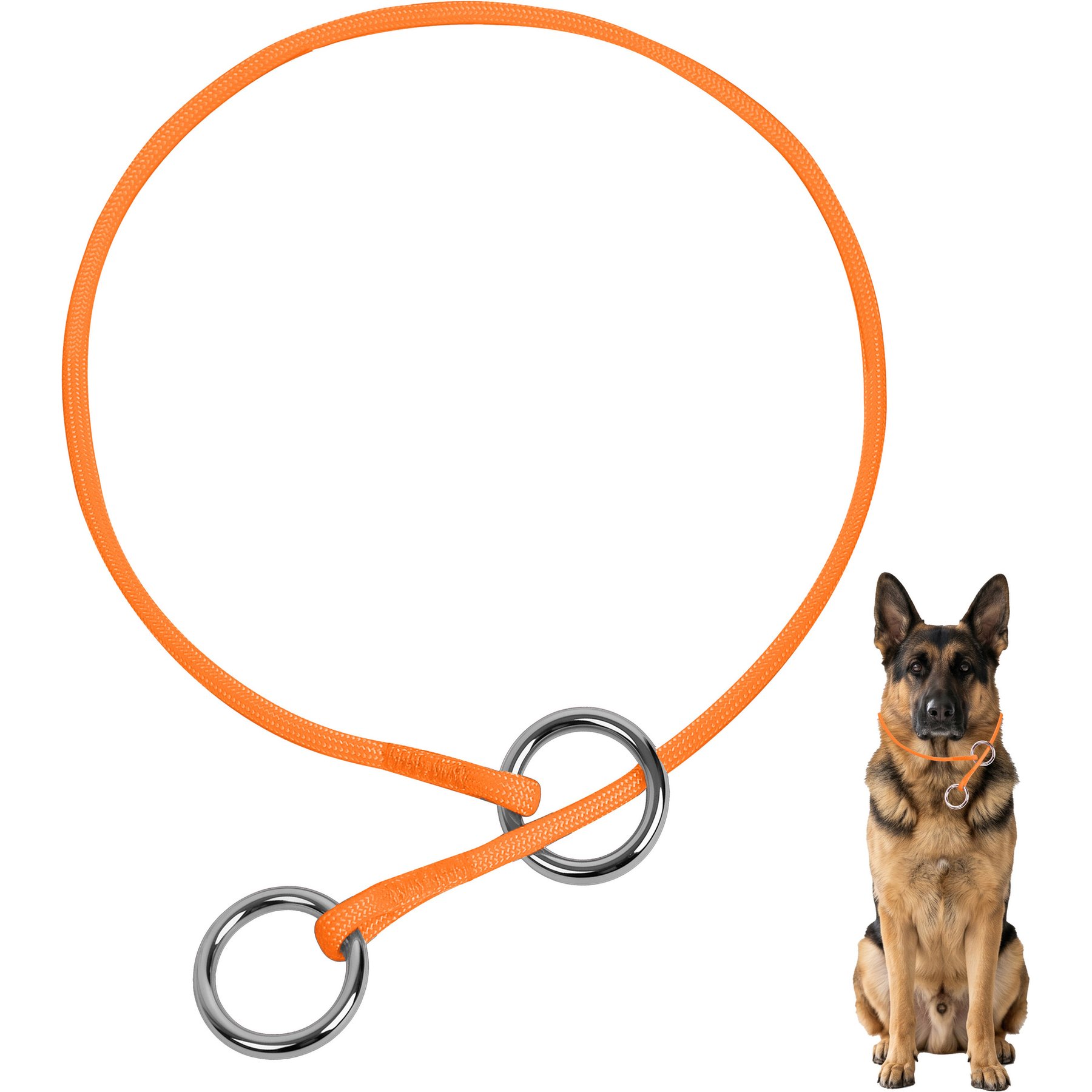 BARKBAY No Pull Slip Stainless Steel Ring Dog Training Collar, Orange, 9.5 to 11.5-in neck, 3/8-in wide