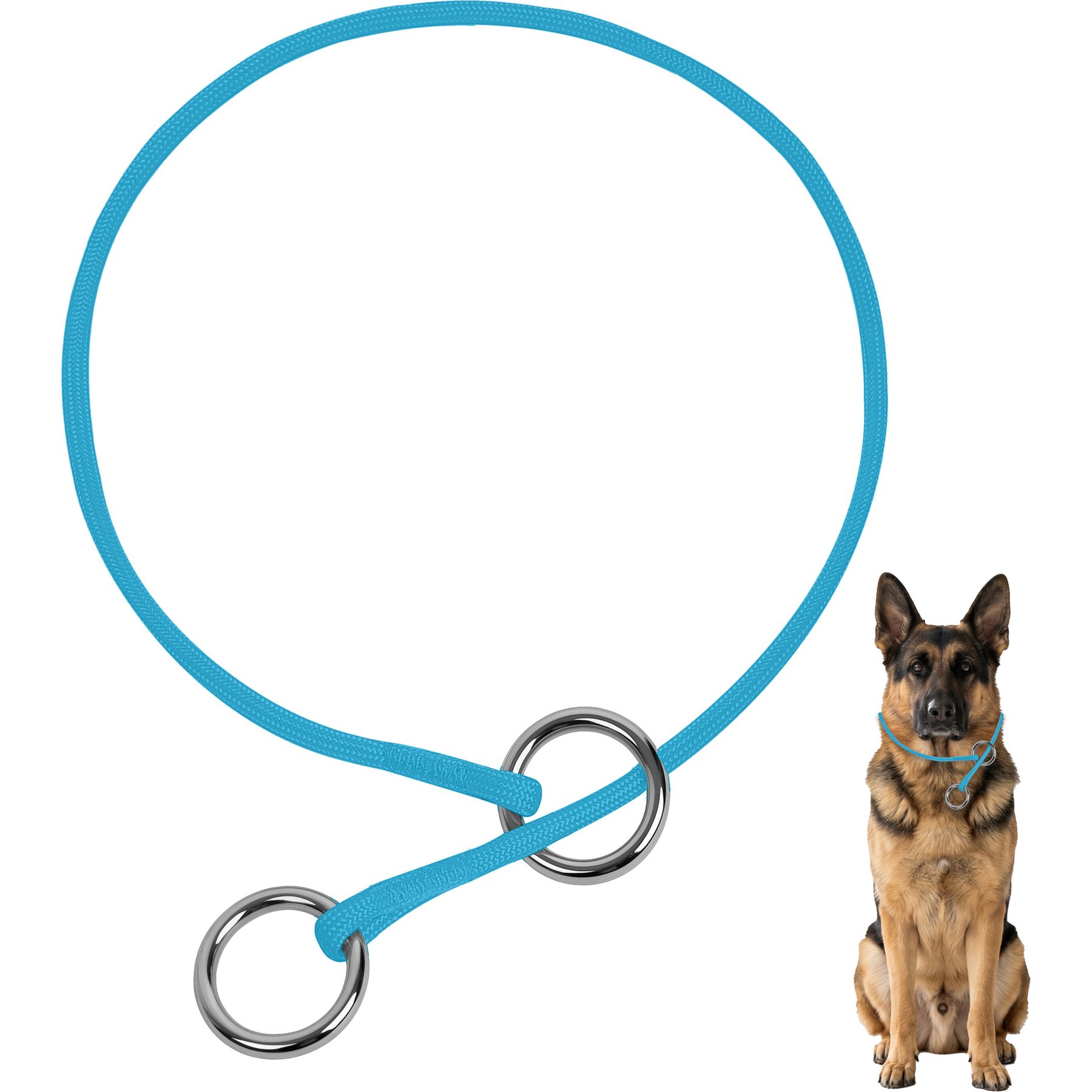 BARKBAY No Pull Slip Stainless Steel Ring Dog Training Collar, Blue, 9.5 to 11.5-in neck, 3/8-in wide