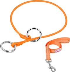 BARKBAY Martingale Reflective Dog Collar & Leash, Orange, 27.5 to 29.5-in neck, 3/8-in wide