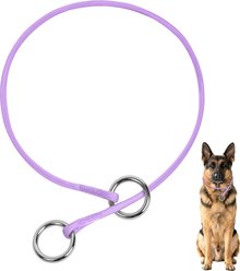 BARKBAY Competition-Style Ultra-Slim P/Q Loop No Pull Martingale Reflective Dog Collar with Stainless Steel Ring, Violet Purple, 9.5 to 11.5-in neck, 3/8-in wide