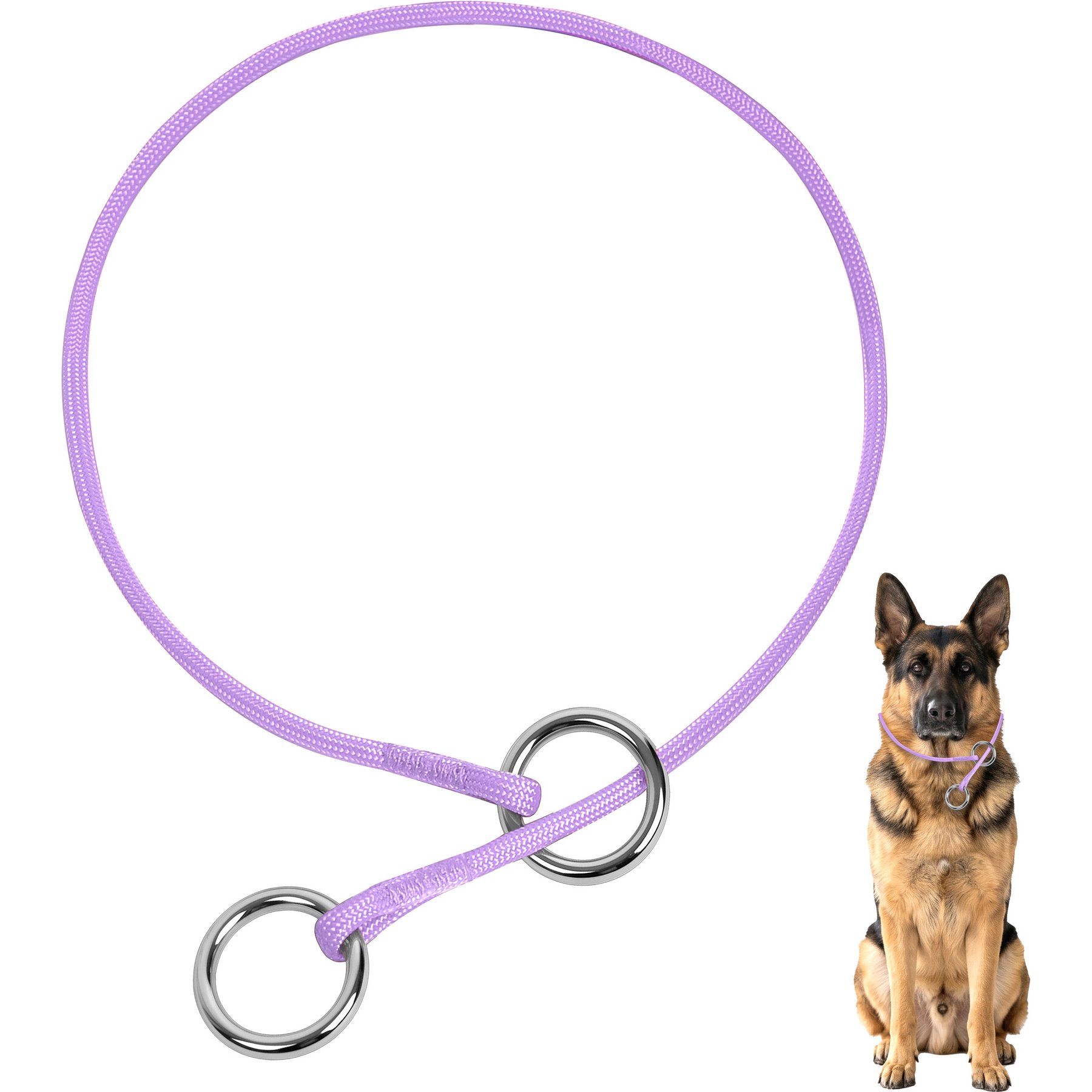 BARKBAY No Pull Slip Stainless Steel Ring Dog Training Collar, Violet Purple, 17.5 to 19.5-in neck, 3/8-in wide