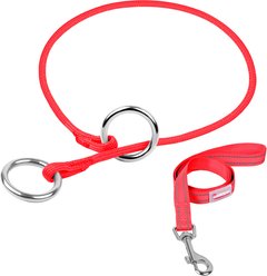 BARKBAY Martingale Reflective Dog Collar & Leash, Red, 27.5 to 29.5-in neck, 3/8-in wide
