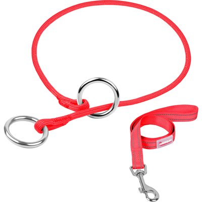 BARKBAY BARKBAY Martingale Dog Collar & Leash, Red, 9.5 to 11.5-in neck, 3/8-in wide