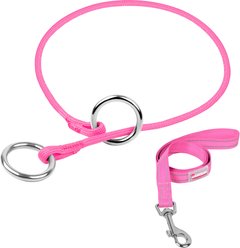BARKBAY Martingale Reflective Dog Collar & Leash, Pink, 27.5 to 29.5-in neck, 3/8-in wide