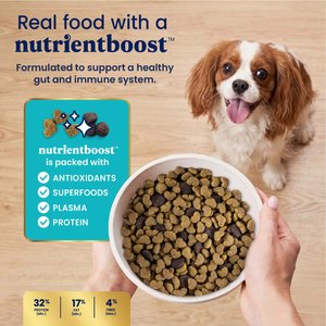 Solid Gold NutrientBoost Chicken, Chickpea & Pumpkin Toy & Small Breed Gut Health Grain-Free Dry Dog Food, 11-lb bag