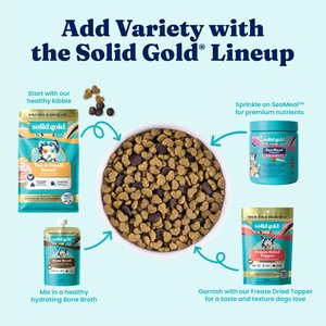 Solid Gold NutrientBoost Chicken, Chickpea & Pumpkin Toy & Small Breed Gut Health Grain-Free Dry Dog Food, 11-lb bag