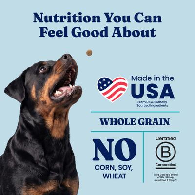 Show full view: Solid Gold Real Lamb, Brown Rice & Pearled Barley Whole Grain Recipe Dry Dog Food for Medium & Large Dogs, 4-lb bag slide 6 of 12