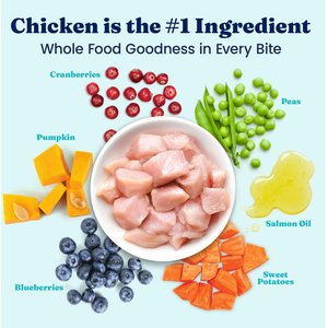 Solid Gold NutrientBoost Chicken & Sweet Potato Weight Control Gut Health Grain-Free Dry Dog Food for Medium & Large Dogs, 22-lb bag