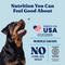 Show in main carousel: Solid Gold NutrientBoost Lamb, Brown Rice & Pearled Barley Gut Health Whole Grain Dry Dog Food for Medium & Large Dogs, 22-lb bag slide 6 of 11