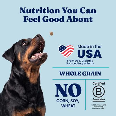 Show full view: Solid Gold NutrientBoost Lamb, Brown Rice & Pearled Barley Gut Health Whole Grain Dry Dog Food for Medium & Large Dogs, 22-lb bag slide 6 of 11