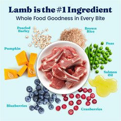 Solid Gold NutrientBoost Lamb, Brown Rice & Pearled Barley Gut Health Whole Grain Dry Dog Food for Medium & Large Dogs, 22-lb bag slide 2 of 9