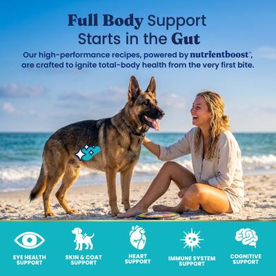 Show full view: Solid Gold NutrientBoost Lamb, Brown Rice & Pearled Barley Gut Health Whole Grain Dry Dog Food for Medium & Large Dogs, 22-lb bag slide 5 of 11