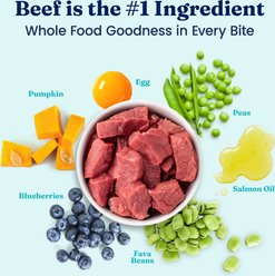 Solid Gold NutrientBoost Beef, Egg & Pea High Protein Gut Health Grain-Free Dry Dog Food for Medium & Large Dogs, 22-lb bag slide 2 of 9