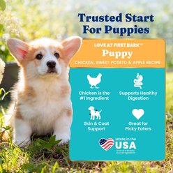 Solid Gold NutrientBoost Medium & Large Breed Puppy, Chicken, Potato & Apple Puppy Gut Health Grain-Free Dry Dog Food, 22-lb bag slide 2 of 9