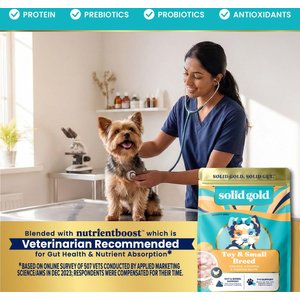 Solid Gold NutrientBoost Chicken, Chickpea & Pumpkin Toy & Small Breed Gut Health Grain-Free Dry Dog Food, 11-lb bag