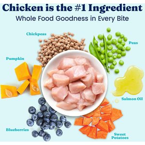 Solid Gold NutrientBoost Chicken, Chickpea & Pumpkin Toy & Small Breed Gut Health Grain-Free Dry Dog Food, 11-lb bag