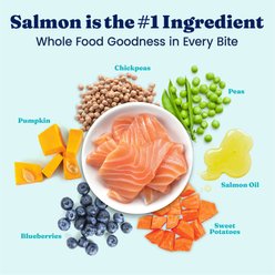 Solid Gold NutrientBoost Salmon & Vegetable Sensitive Stomach Gut Health Grain-Free Dry Dog Food for Medium & Large Dogs, 22-lb bag slide 2 of 9