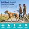 Show in main carousel: Solid Gold NutrientBoost Bison & Brown Rice Large Breed Gut Health Whole Grain Dry Dog Food, 22-lb bag slide 5 of 11